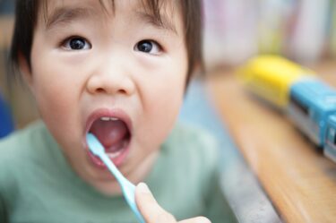 あなたの歯ブラシは雑菌だらけ！正しい交換時期や保管方法は？